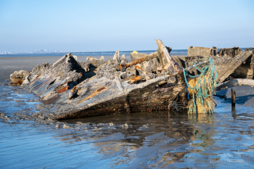 Scheepswrak Crested Eagle Zuydcoote