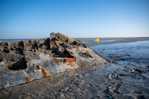 Scheepswrak Crested Eagle Zuydcoote