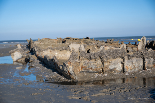 Scheepswrak Crested Eagle Zuydcoote