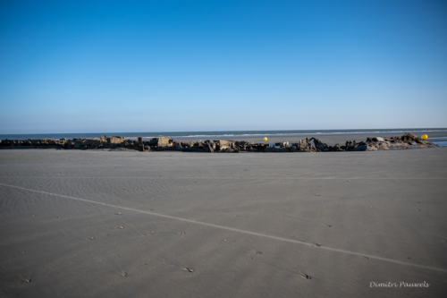 Scheepswrak Crested Eagle Zuydcoote