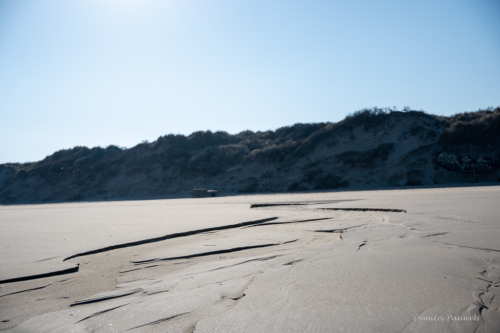 Les Dunes des Flandre
