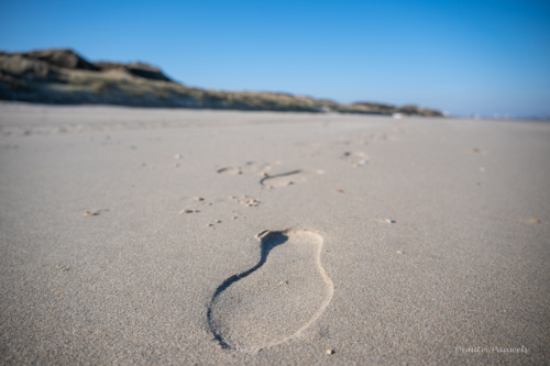 Les Dunes des Flandre