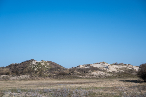 Les Dunes des Flandre