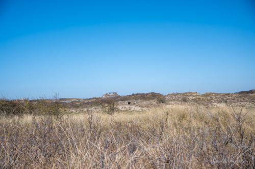 Les Dunes des Flandre