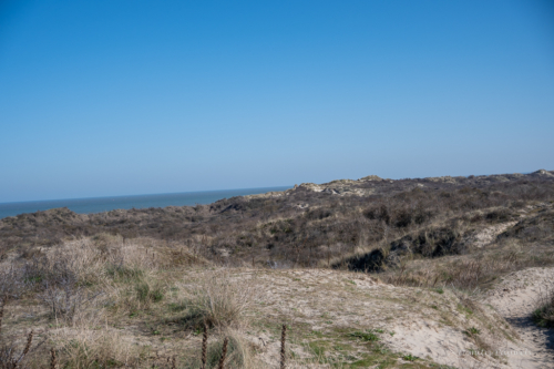 Les Dunes des Flandre