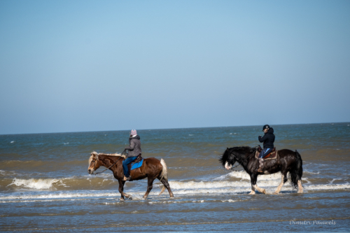 Les Dunes des Flandre