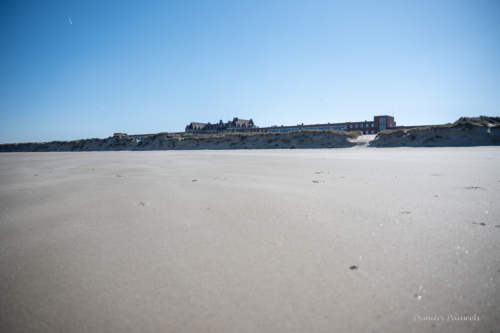 Les Dunes des Flandre