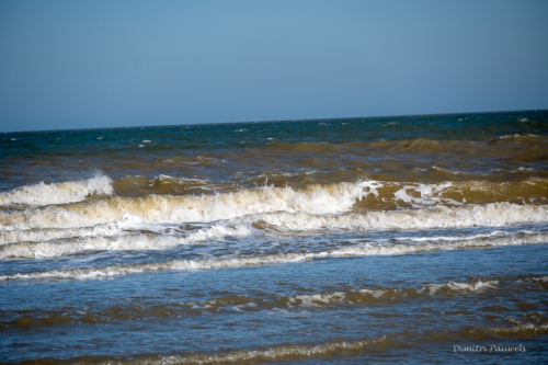 Les Dunes des Flandre