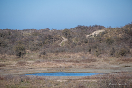 Les Dunes des Flandre