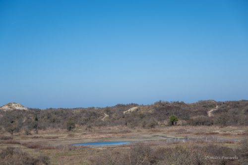 Les Dunes des Flandre