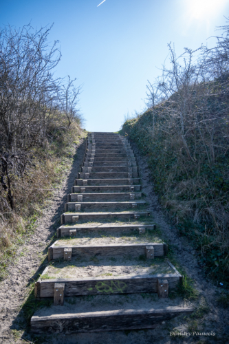 Les Dunes des Flandre