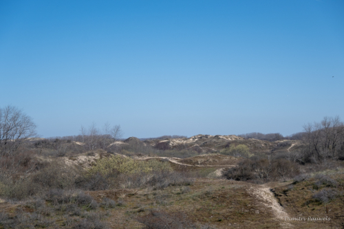 Les Dunes des Flandre