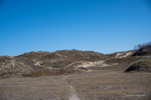 Les Dunes des Flandre