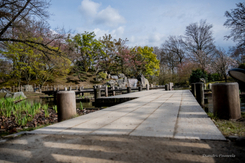 Japanse Tuin