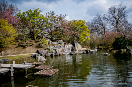 Japanse Tuin