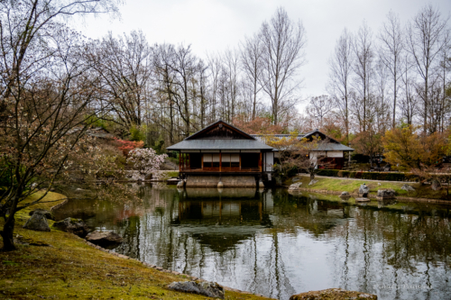 Japanse Tuin