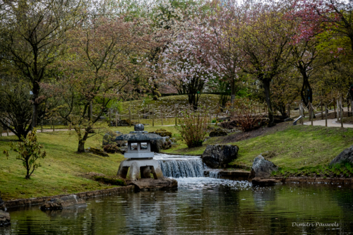 Japanse Tuin