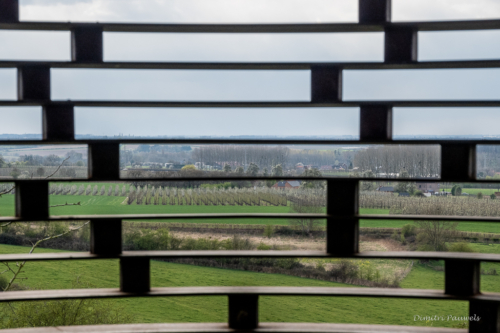 Reading between the Lines