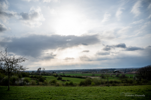 Reading between the Lines