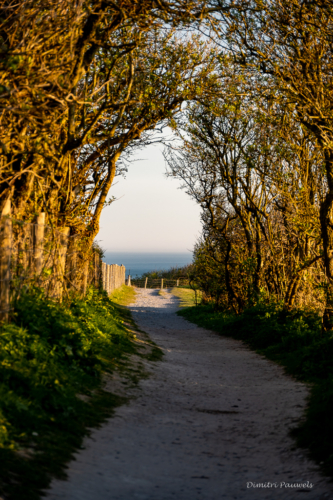 Cap Blanc Nez