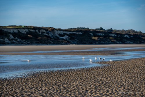 Cap Blanc Nez
