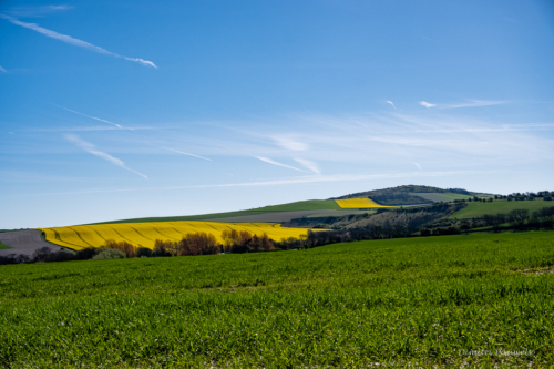 Cap Blanc Nez