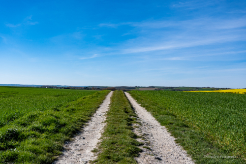 Cap Blanc Nez