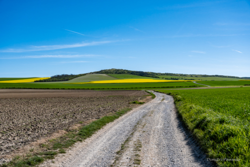 Cap Blanc Nez