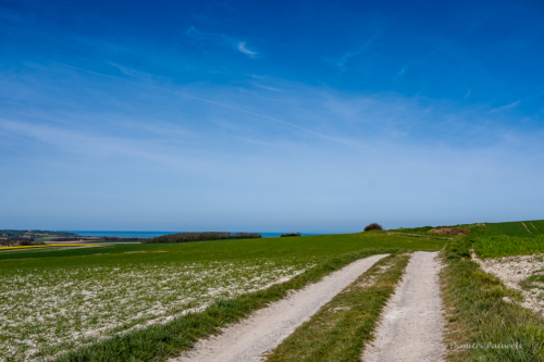 Cap Blanc Nez