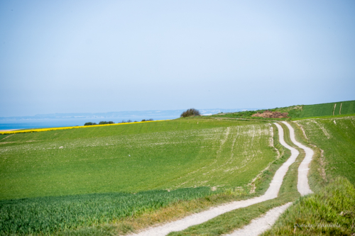 Cap Blanc Nez