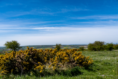 Cap Blanc Nez