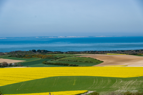 Cap Blanc Nez