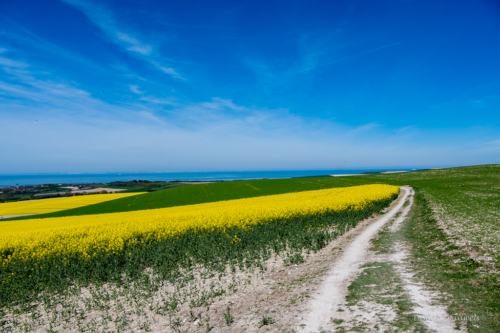 Cap Blanc Nez
