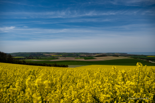 Cap Blanc Nez