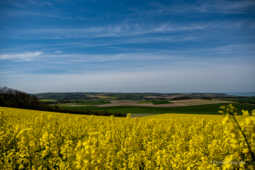Cap Blanc Nez