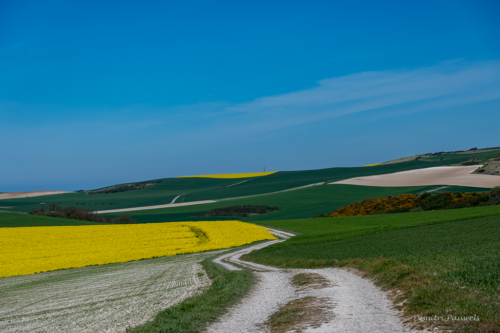 Cap Blanc Nez