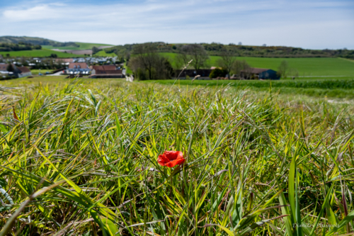 Cap Blanc Nez