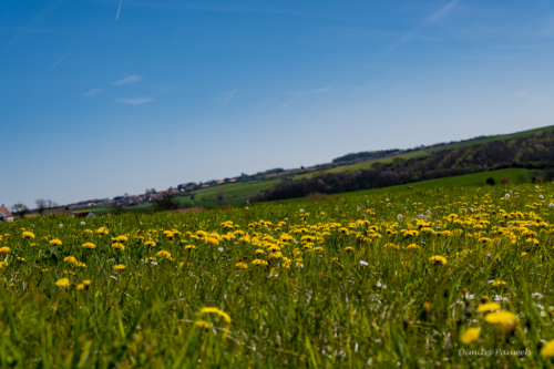 Cap Blanc Nez
