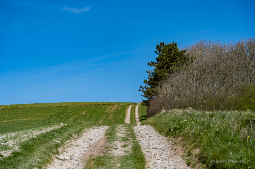 Cap Blanc Nez