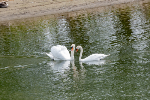 22-05 Maasvallei Leut