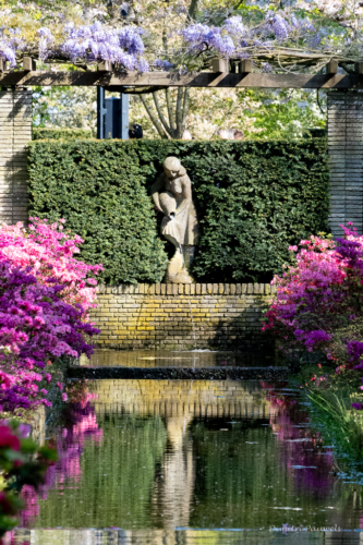 Keukenhof