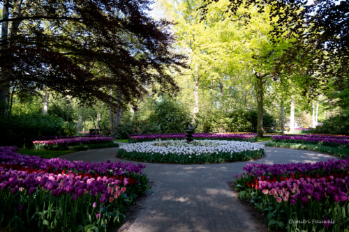 Keukenhof