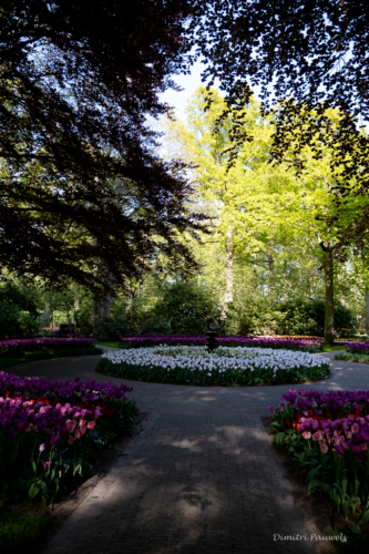 Keukenhof