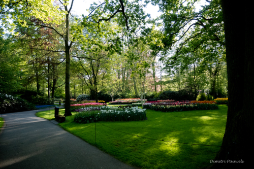 Keukenhof