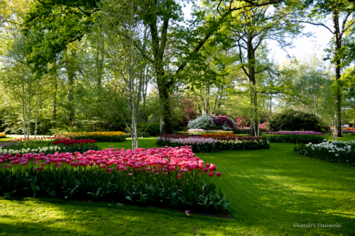 Keukenhof