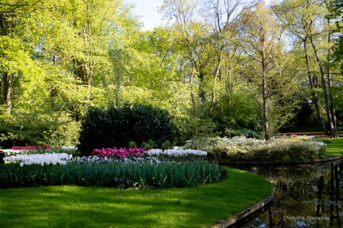 Keukenhof