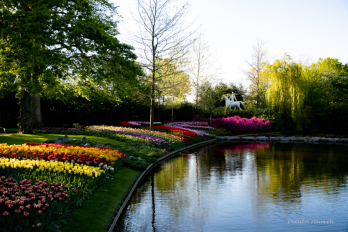 Keukenhof