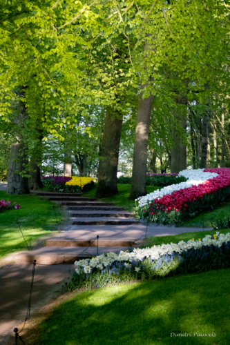 Keukenhof