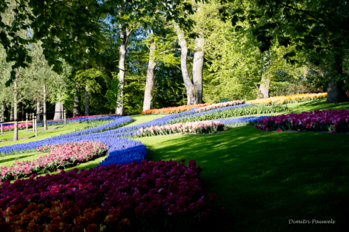 Keukenhof
