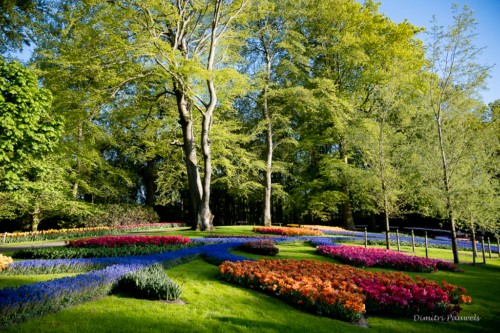 Keukenhof
